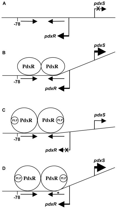 Fig. 8