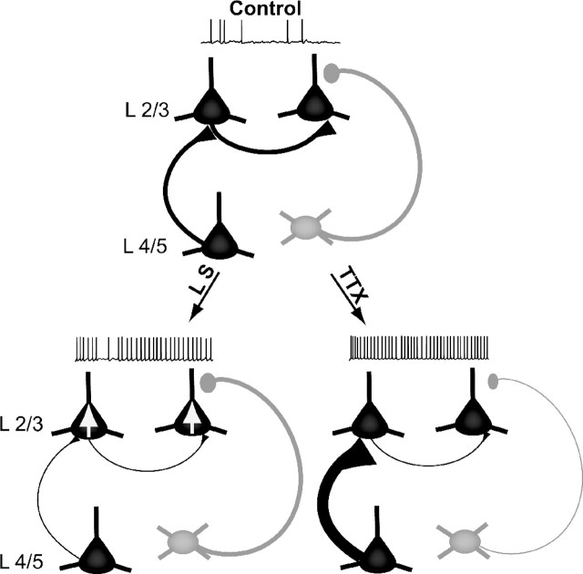 Figure 7.