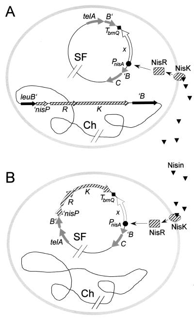 FIG. 4.