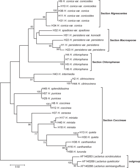 Fig. 3