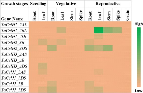 Fig. 10