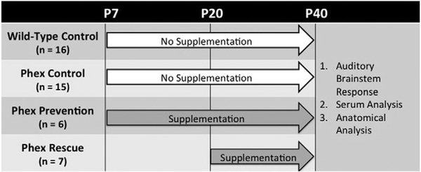 Fig. 1 –