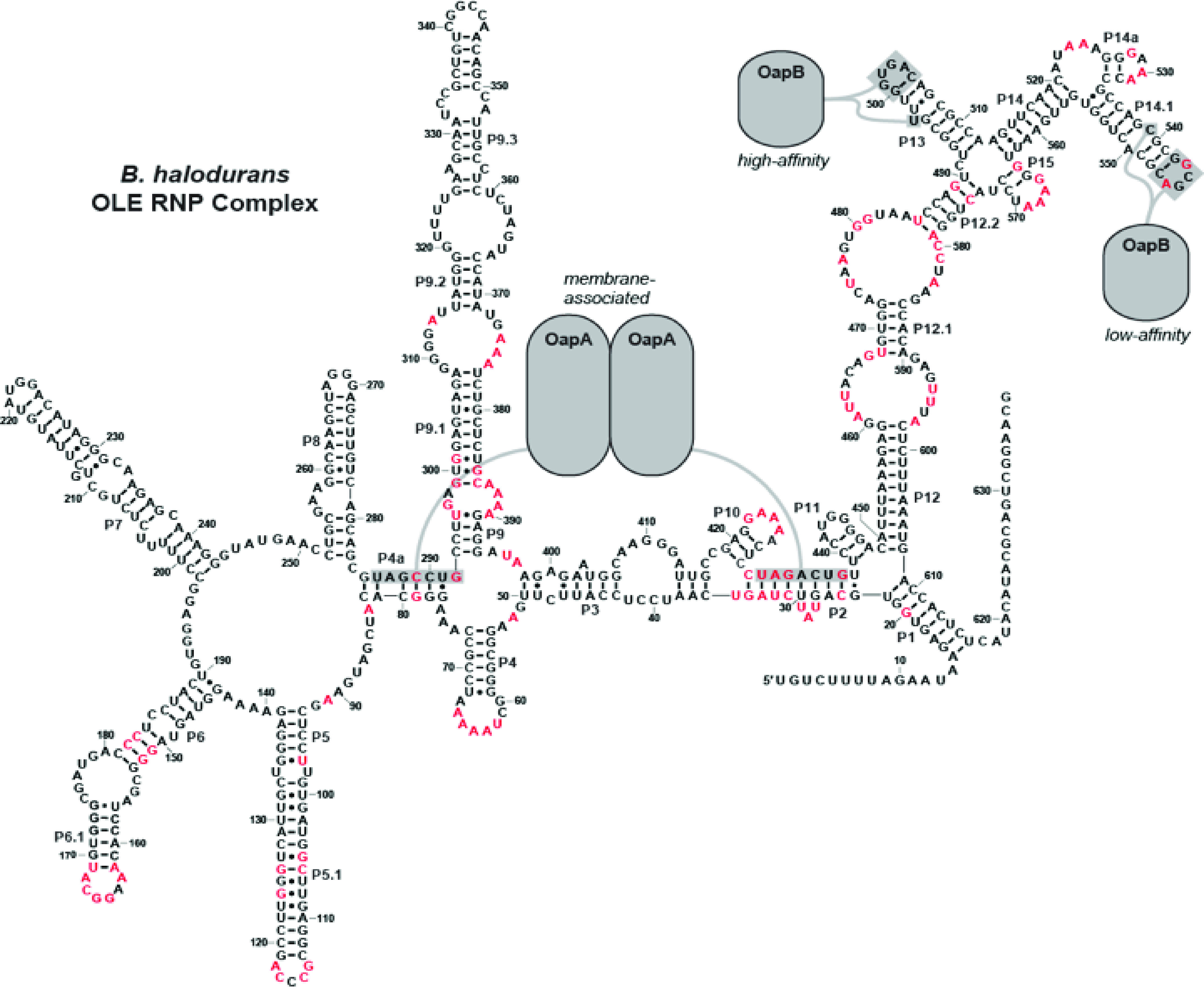 Figure 6.