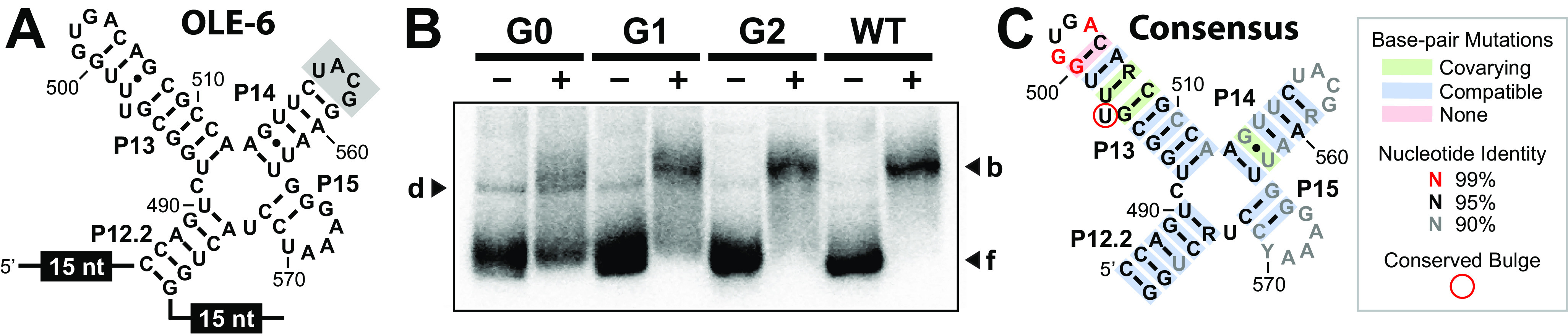 Figure 5.