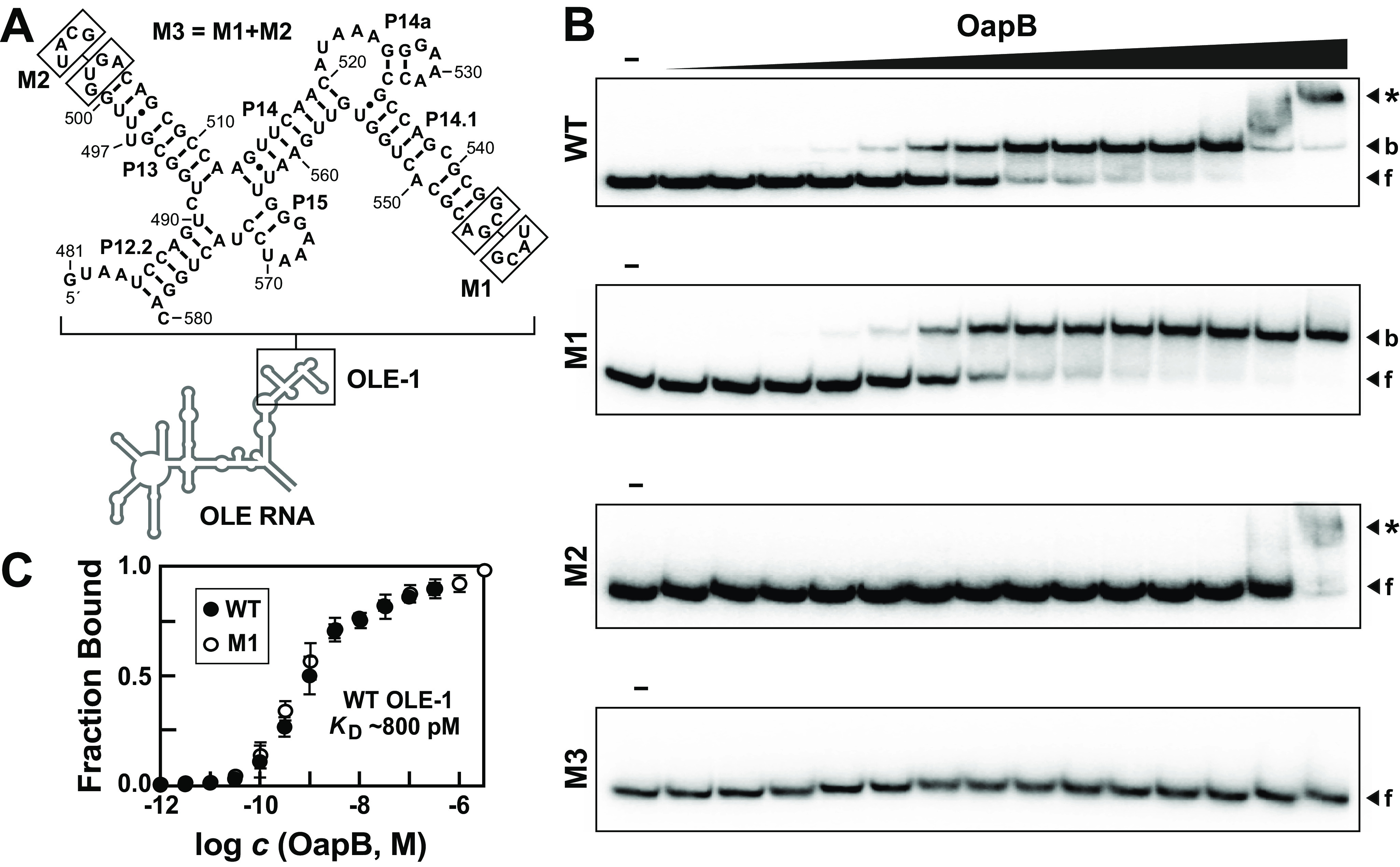 Figure 2.