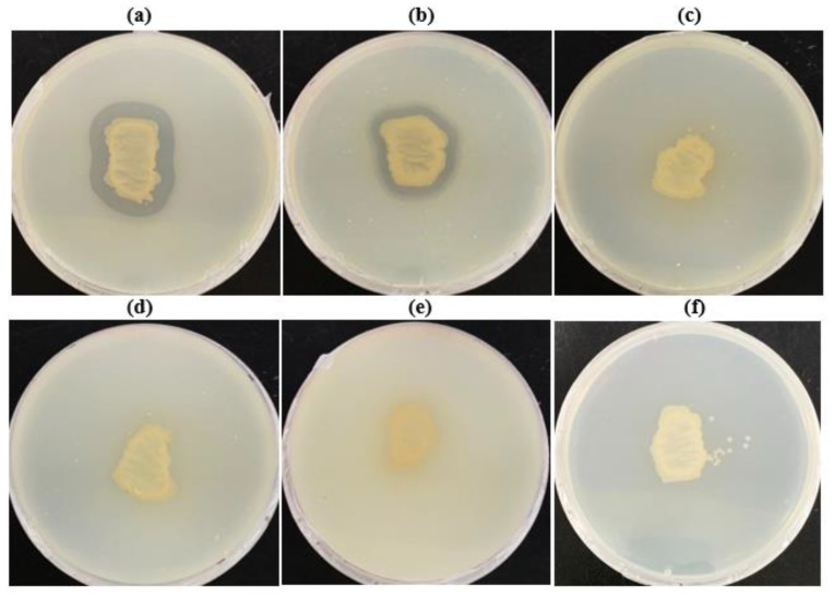 Figure 5