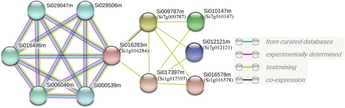 Fig. 7