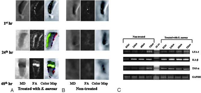 Fig 4.