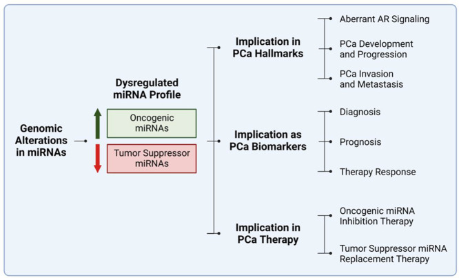 Image, graphical abstract