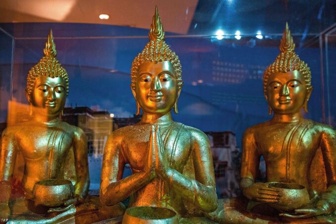 graphic file with name 35128_2023_1868_Fig1_HTML.jpg