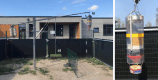 Left image: the test arena with the Fake Apple Tree apparatus on which the platform (a) and dispenser (b) were attached. Right image: the dispenser, containing raw pasta, attached to the pivoting arm.
