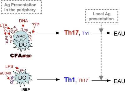 Figure 10.