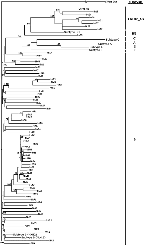 FIG. 1.