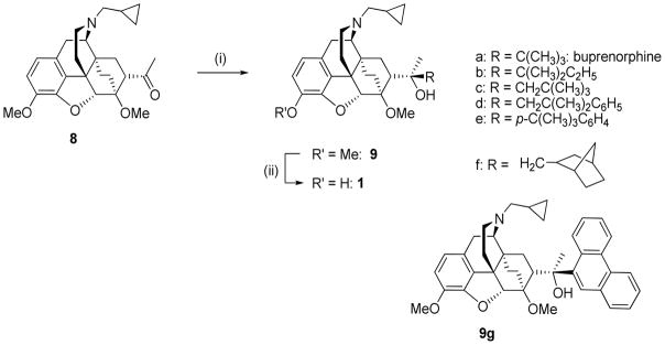 Scheme 2