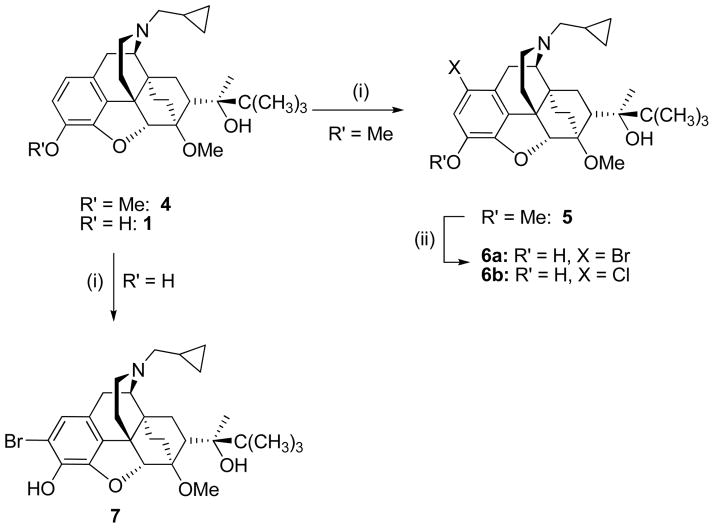 Scheme 1