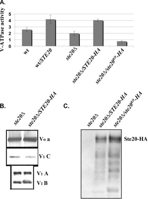 Fig 4