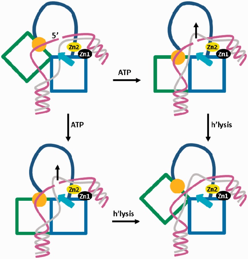 Figure 6.