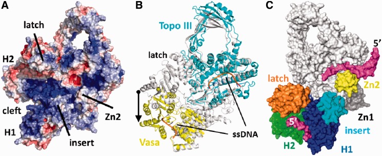 Figure 5.