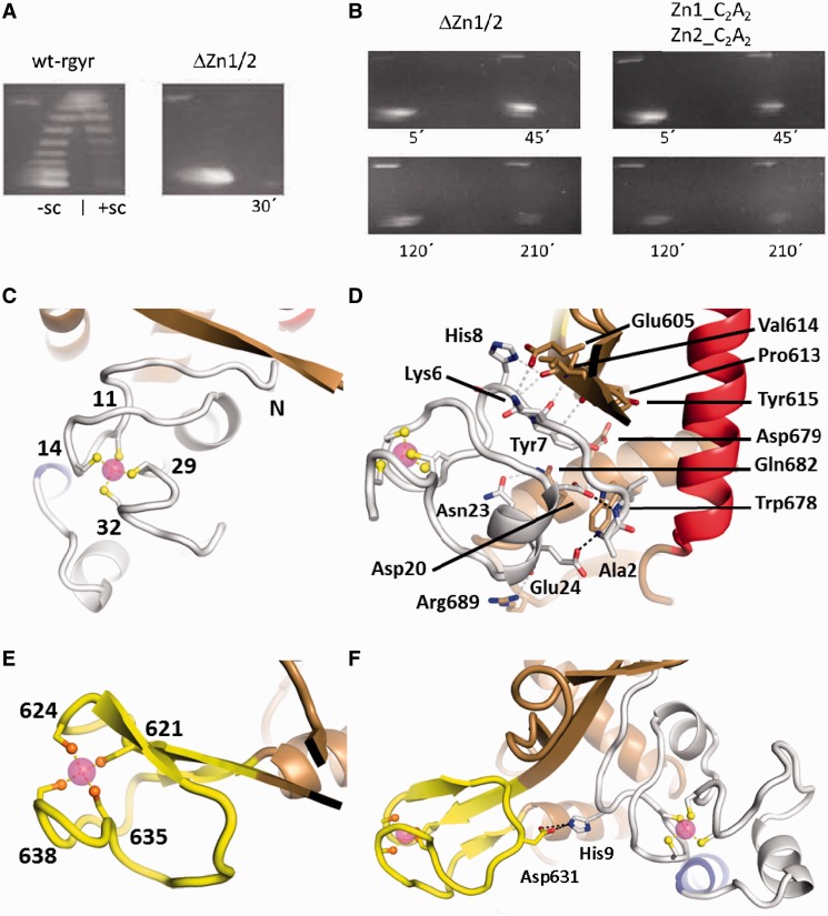 Figure 4.