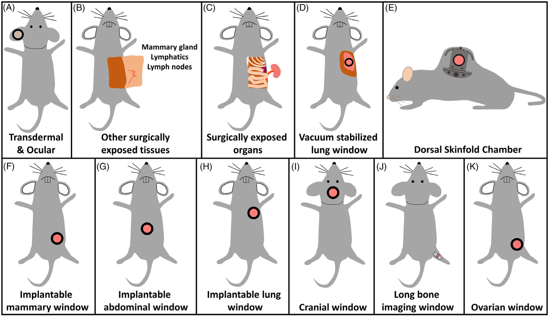 Figure 3.