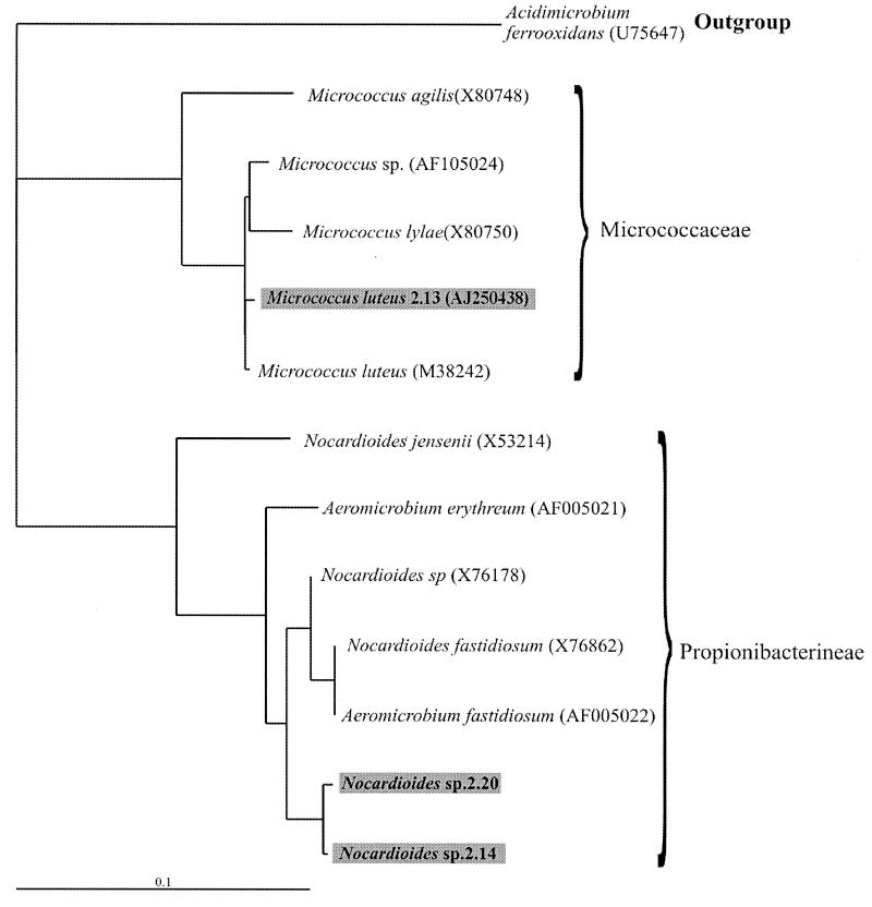 FIG. 2.