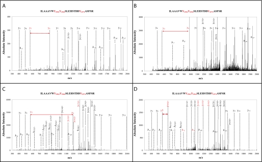 FIGURE 2.