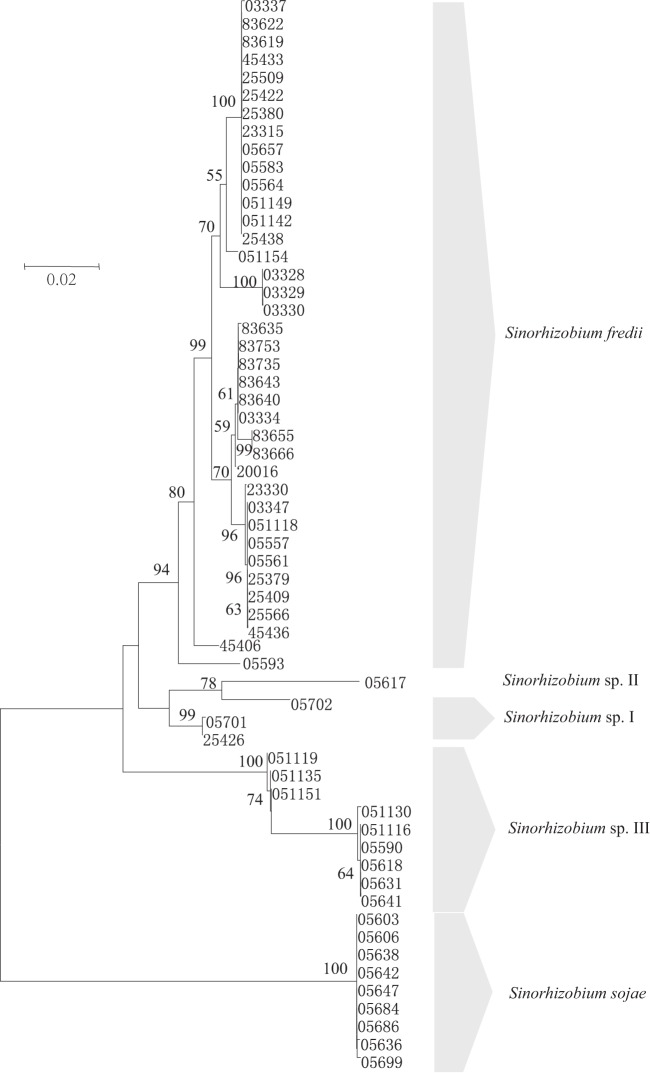 FIG 1