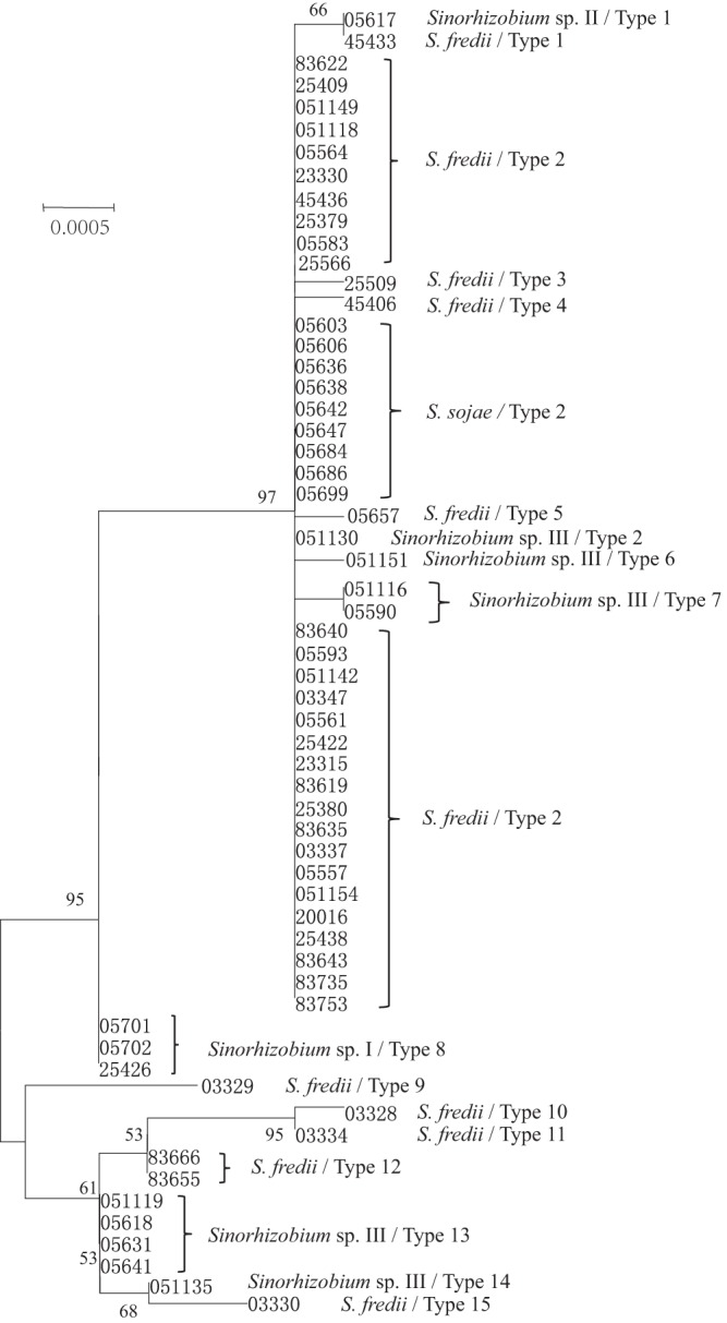 FIG 2