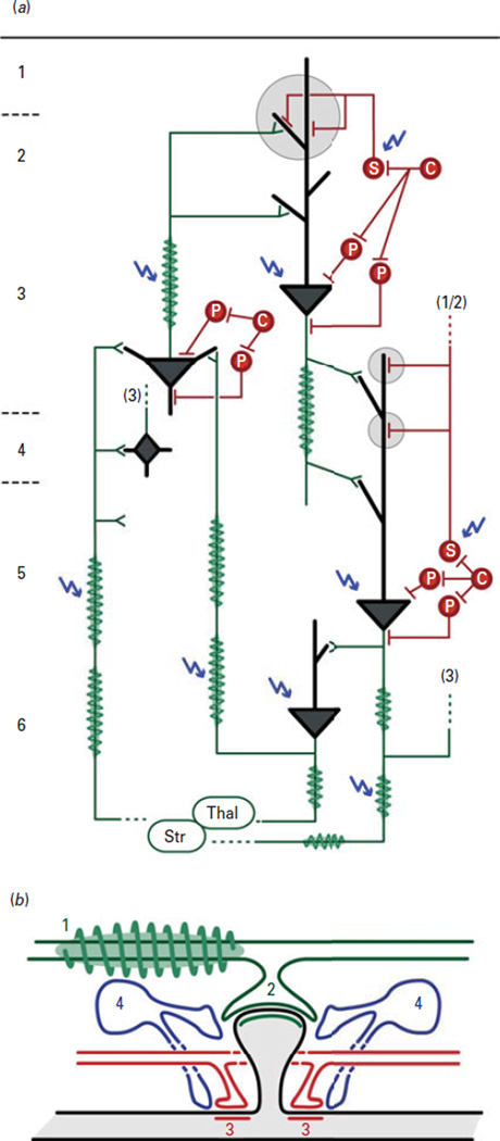 Fig. 4