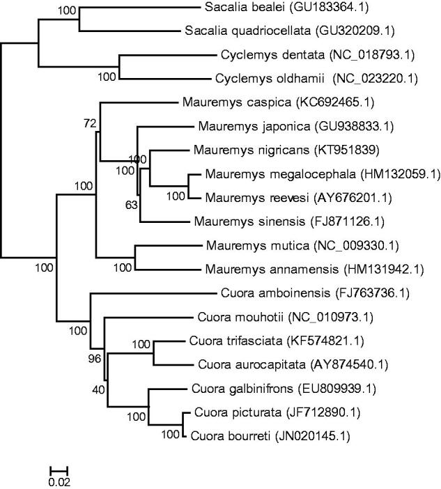 Figure 1.