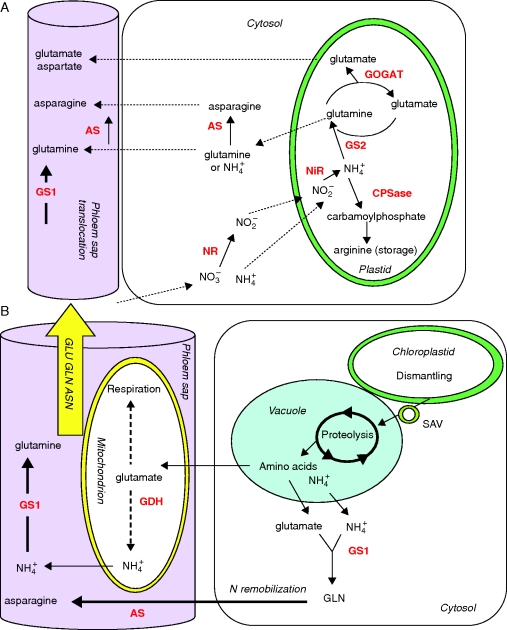 Fig. 2.