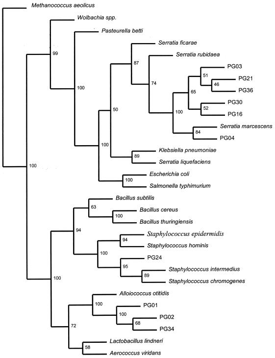 FIG. 1