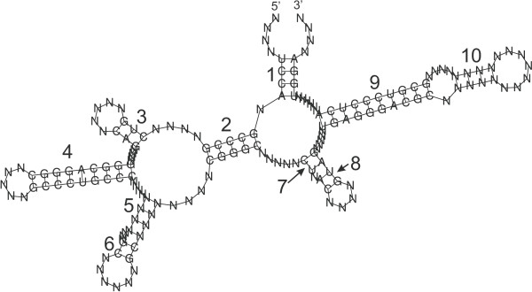 Figure 10