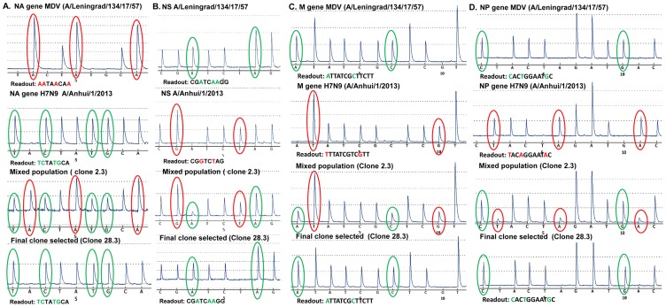 Figure 4