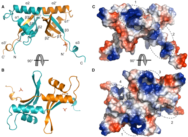 Figure 4.