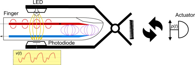 Fig. 1