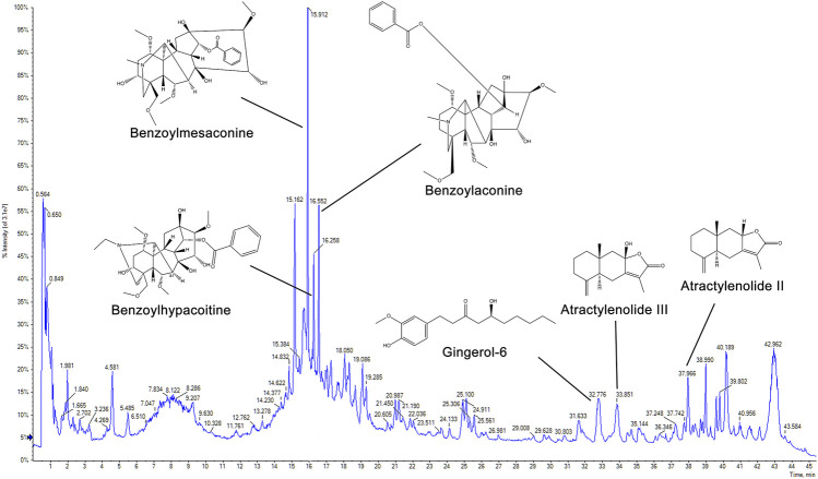 FIGURE 1