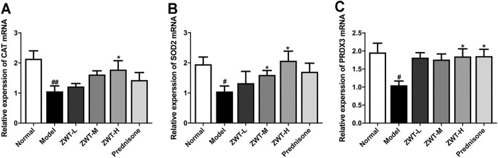 FIGURE 3