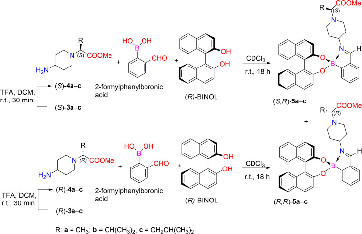 Scheme 2