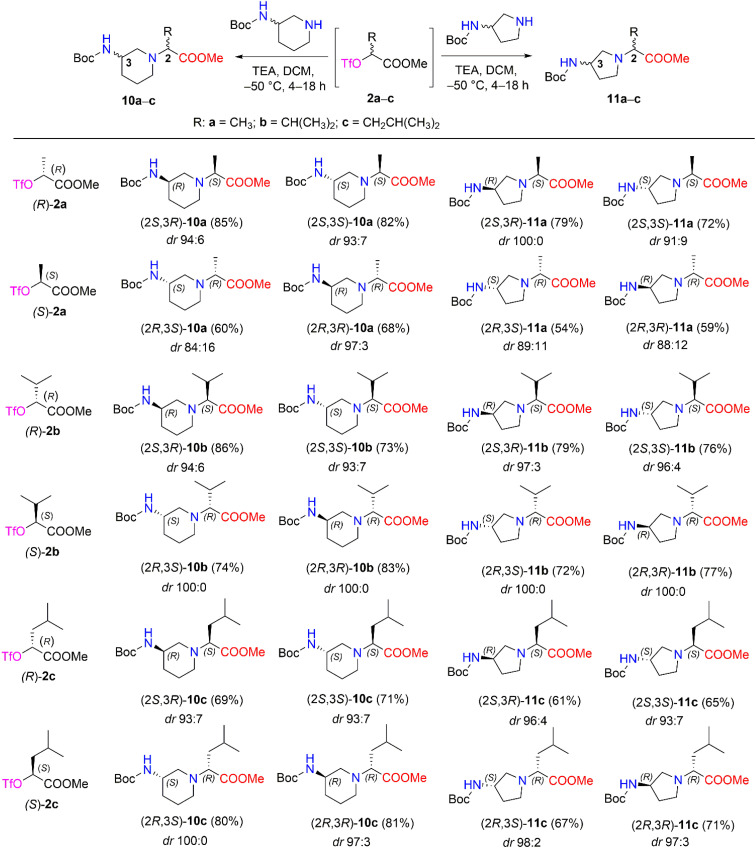 Scheme 5