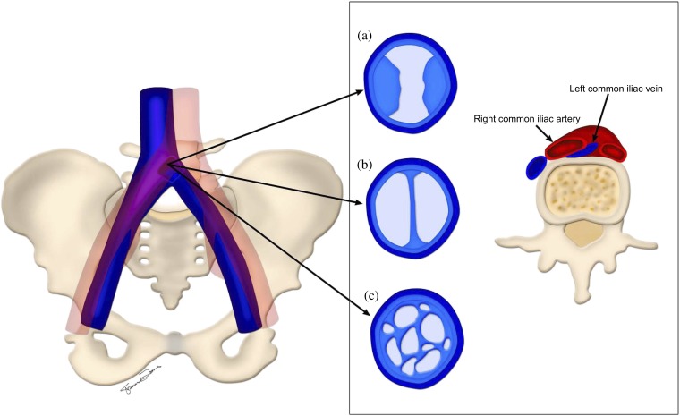 Figure 5.