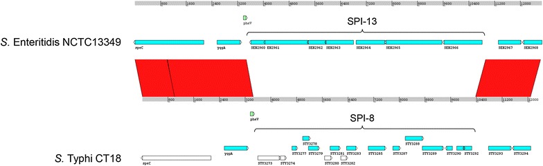 Fig. 1