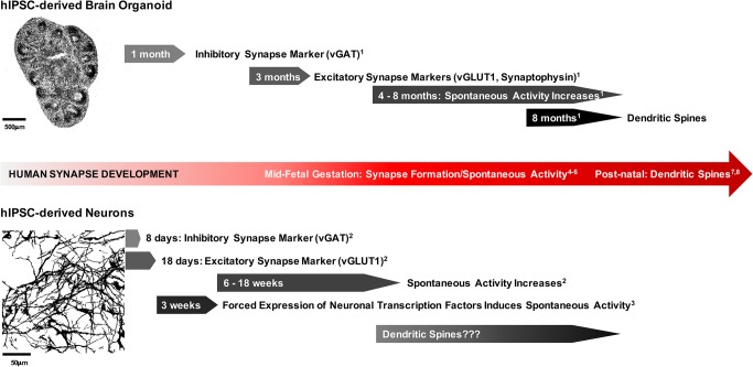 FIGURE 1: