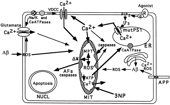 Fig. 6.