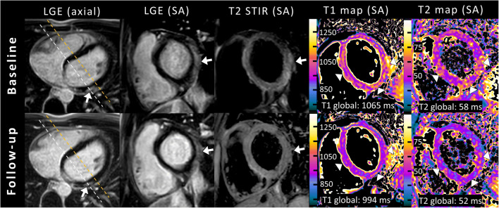 Fig. 4