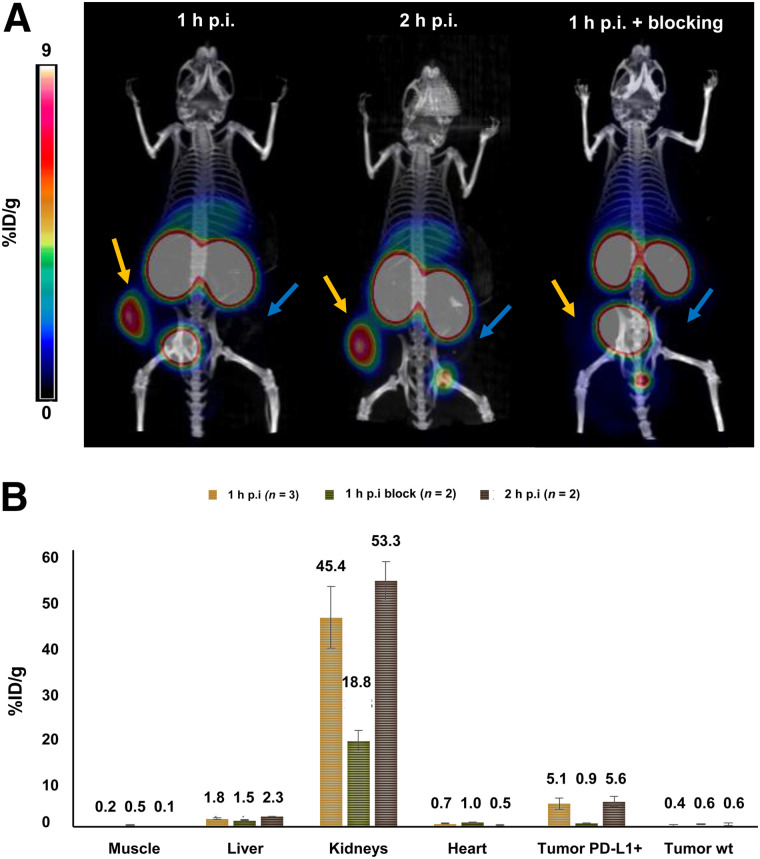 FIGURE 4.