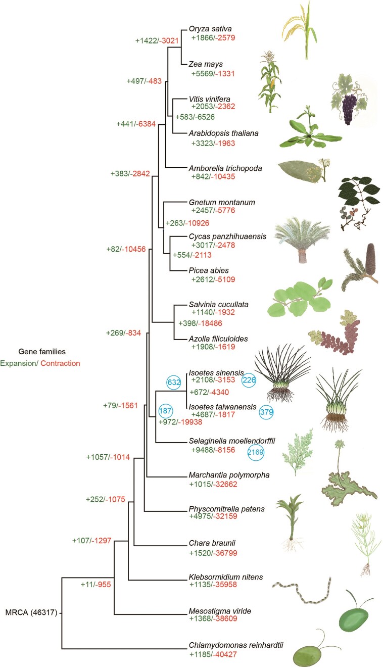 Figure 3: