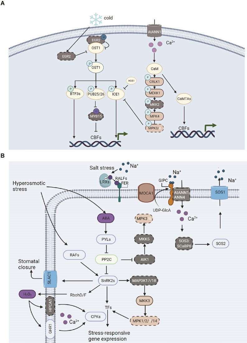 Figure 5: