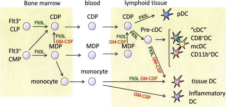 Fig. 2