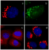 Fig. 15